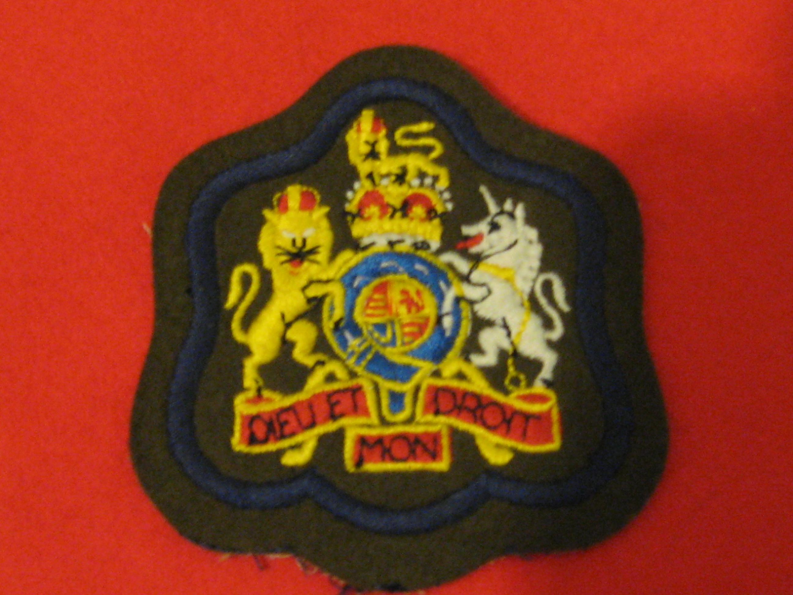 Wo1 Badge