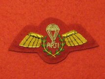 NUMBER 1 DRESS ARMY PARACHUTE JUMP INSTRUCTOR APJI GOLD ON SCARLET BADGE