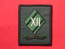 TACTICAL RECOGNITION FLASH BADGE 12TH AIR SUPPORT ROYAL ENGINEER TRF BADGE