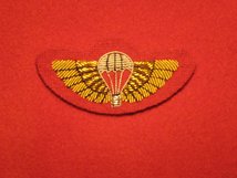 MESS DRESS SPECIAL AIR SERVICE WINGS SAS WINGS GOLD ON RED BADGE