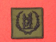 TACTICAL RECOGNITION FLASH BADGE 67TH QOWWY SIGNAL SQUADRON TRF BADGE