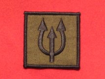 TACTICAL RECOGNITION FLASH BADGE TRIDENT TRF BADGE