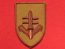 SPECIAL BOAT SERVICE SBS SPECIAL FORCES BADGE BUFF