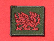 TACTICAL RECOGNITION FLASH BADGE ROYAL WELSH 2ND BN TRF BADGE RIGHT FACING ON GREEN