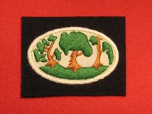 BRITISH ARMY 12 CORPS FORMATION BADGE WW2 THORN TREES BADGE