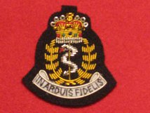 ROYAL ARMY MEDICAL CORPS RAMC REGIMENT OFFICERS BERET BADGE