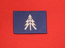 BRITISH ARMY RECCE WHITE ON BLUE NEW BADGE SEW ON