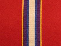 FULL SIZE BORDER FORCE AND IMMIGRATION ENFORCEMENT MEDAL LSGC MEDAL RIBBON