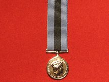 MINIATURE POLICE SERVICE NORTHERN IRELAND PSNI MEDAL CIIIR